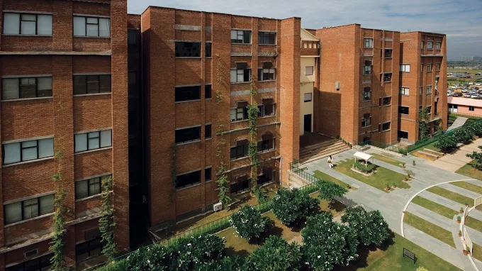 IILM University